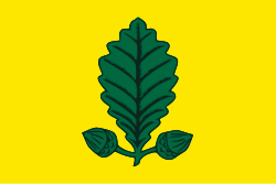 Vlag Heusden-Zolder